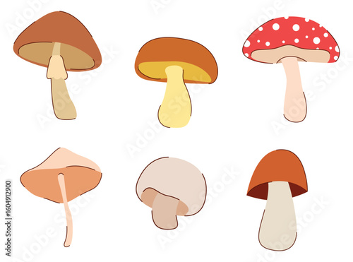 Set of forest mushrooms.Poisonous and edible forest mushrooms in doodle style. Fly agaric, white mushroom, toadstool, aspen and others. Autumn elements of forest mushrooms. Vector illustration.