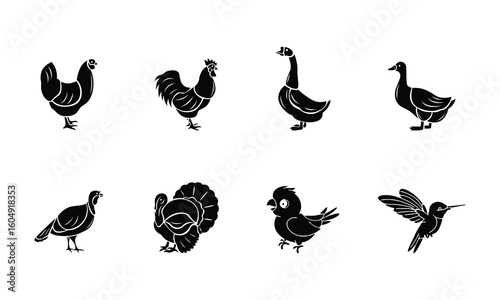 Collection of Bird Silhouettes common farm birds like a chicken, rooster, turkey, goose, and duck, alongside a chick and a humming bird icon set