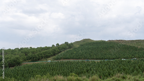 Canvas Print vineyard in china