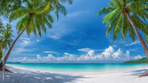 The tranquil beach scene framed by swaying palm trees and clear blue waters.