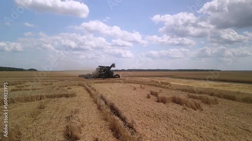 Modern Combine Harvester Operating in Golden Wheat Field during Harvest Season