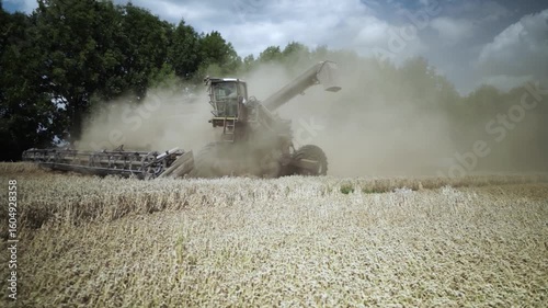 Modern Combine Harvester Operating in Golden Wheat Field during Harvest Season