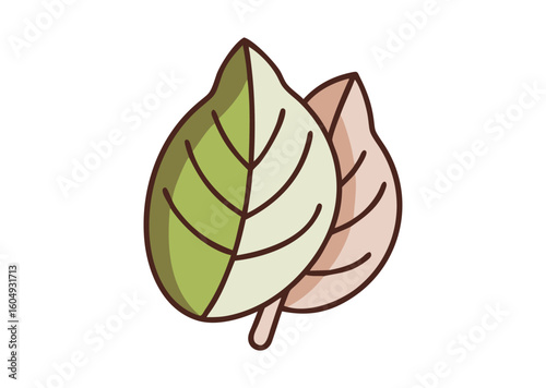 Onstream deliciosa leaf Vector Illustration