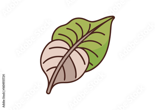 Onstream deliciosa leaf Vector Illustration