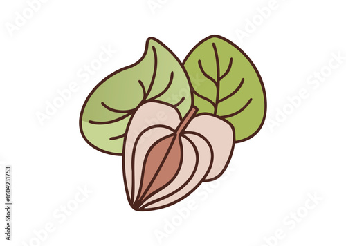 Onstream deliciosa leaf Vector Illustration