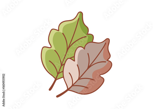 Onstream deliciosa leaf Vector Illustration