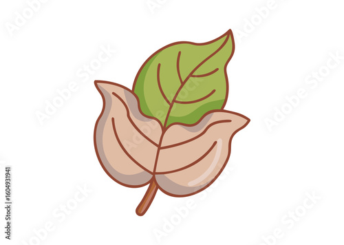 Onstream deliciosa leaf Vector Illustration