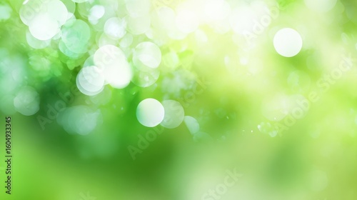 The Beautiful Green Bokeh Background Evoking Nature's Tranquility and Freshness