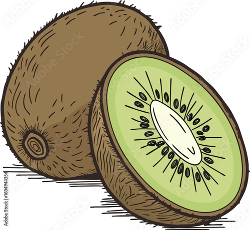 Kiwi Illustration Fresh and Vibrant Green Fruit Design for Healthy Food and Tropical Theme Projects