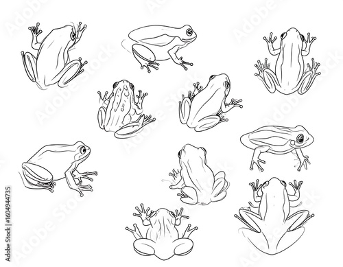 Simple black line art of several frogs