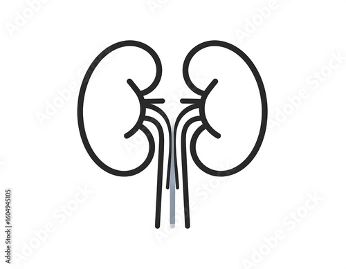 Simple black outline drawing of two kidneys
