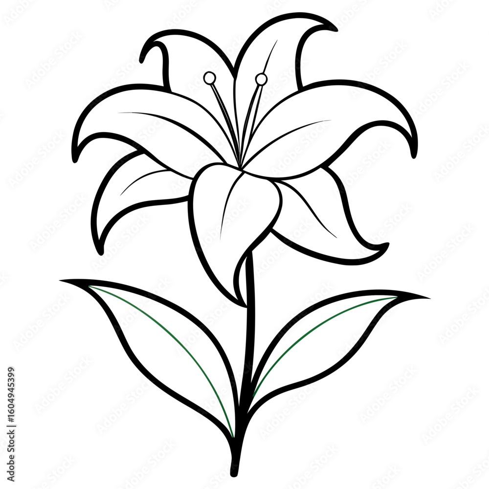 Fototapeta premium lily flower isolated on white