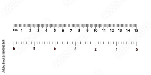 Scale ruler icon isolated on a white background. Symbols and signs of measuring lines. Vector illustration