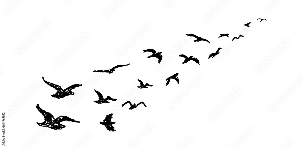 Fototapeta premium Silhouette of birds flying away. Shadow of flock of birds flying high in the sky drawn with wax pencil or pastel. Vector illustration of simple bird. Graphic element written with black charcoal pen.