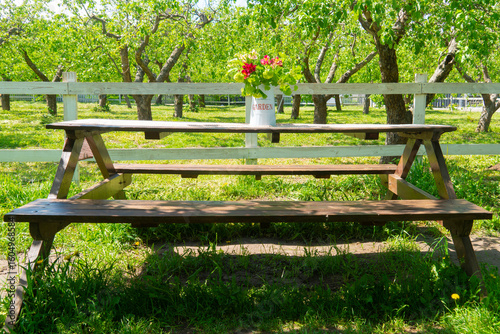 Fototapete A rustic wooden picnic table and benches with a bucket of bright flowers, set in