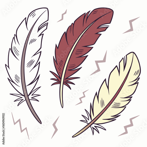 vector illustration of feather