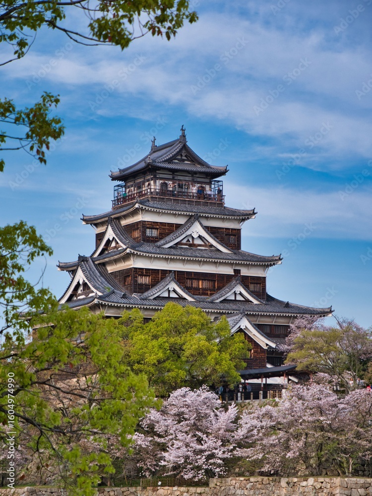 Naklejka premium Hiroshima Castle during cherry blossom season, sakura, Japan