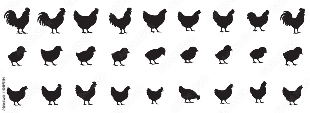 Fototapeta premium Chicken set child hen, hen and rooster silhouette white background
