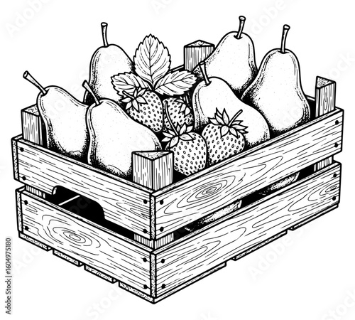 Vintage doodle sketch vector illustration of fruits peach, pears, strawberry in a basket bucket and a bag