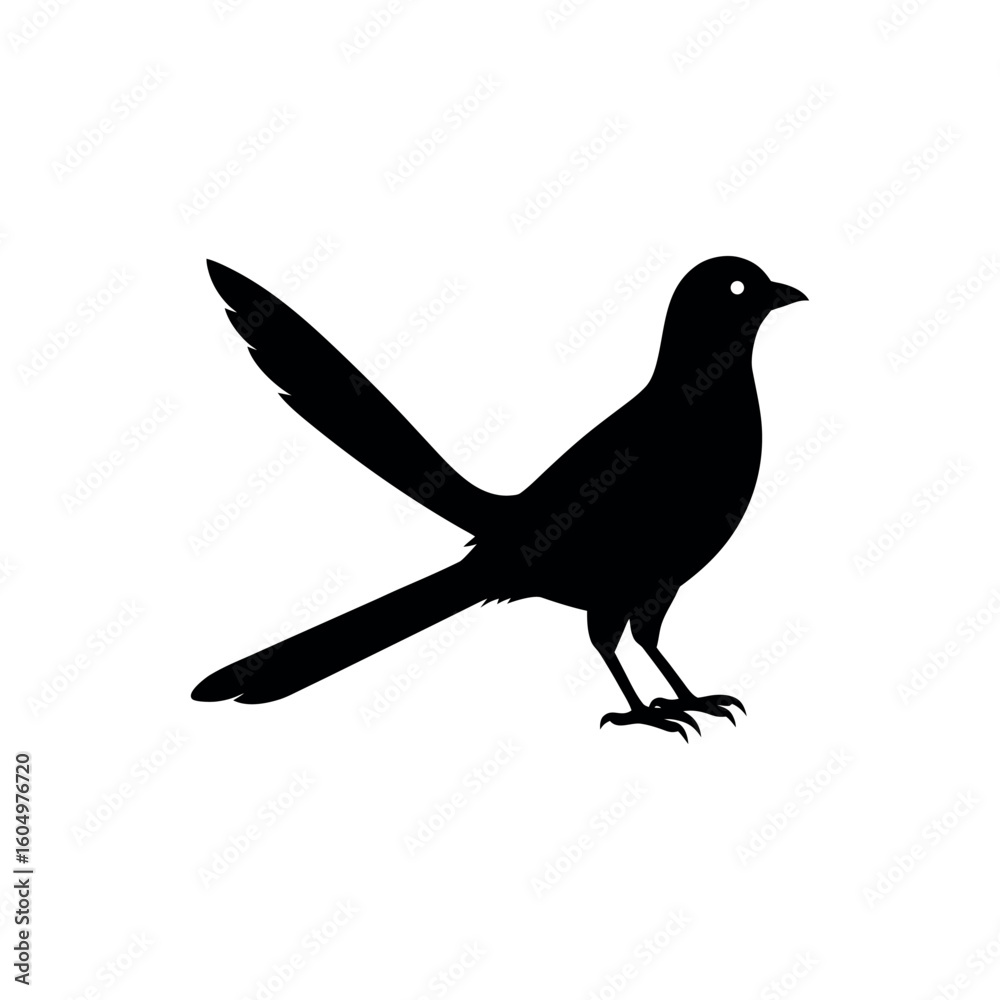 Fototapeta premium A cuckoo Bird's silhouette art vector illustration.