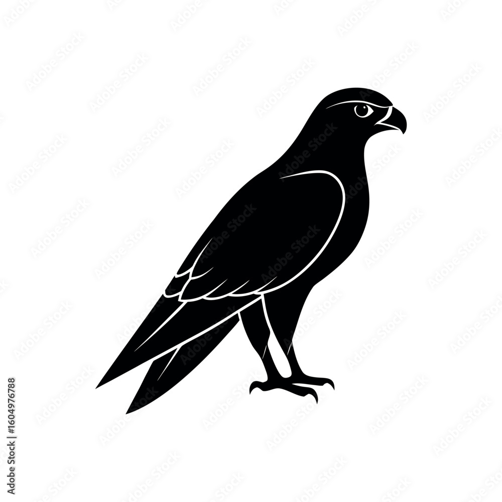 A falcon Bird's silhouette art vector illustration.