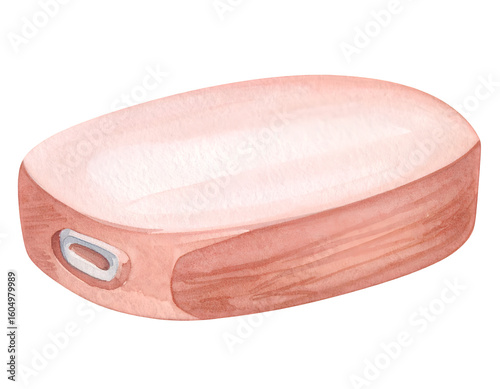 Watercolor Illustration of a Pink Oval Pet Bed