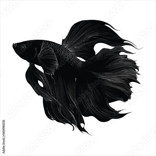 Beta fish silhouette vector illustration