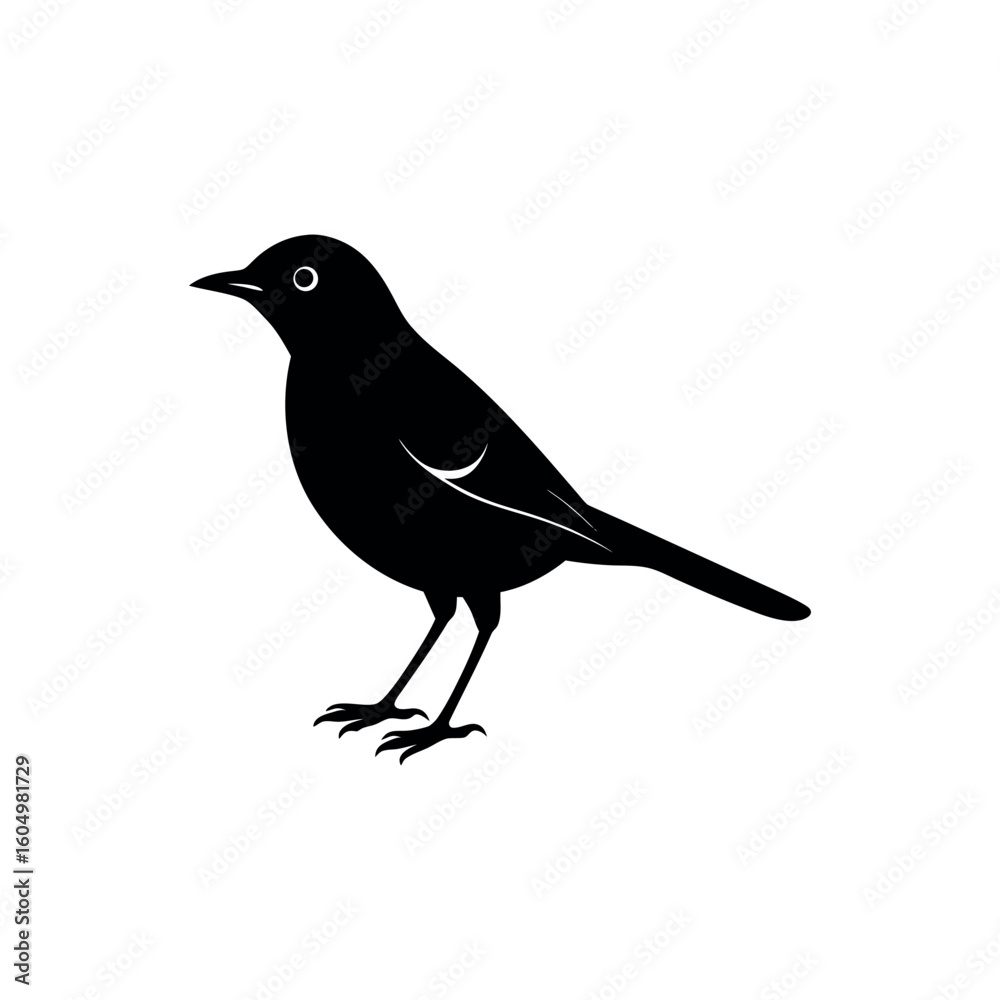 Obraz premium A pipit Bird's silhouette art vector illustration.