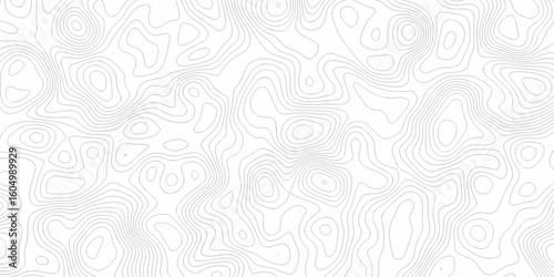 Abstract minimal The patter discovery vector topo map. white topo creative discovery White wave grid stripe line map topography. vector geographic contour mounted map background.	