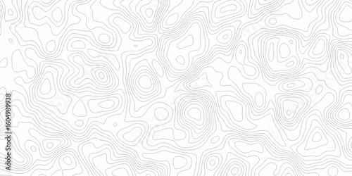 Abstract minimal The patter discovery vector topo map. white topo creative discovery White wave grid stripe line map topography. vector geographic contour mounted map background.	