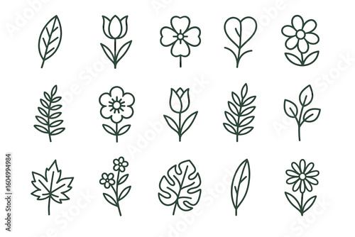 Minimalist botanical line art collection featuring various floral designs