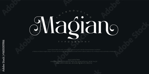 Elegant Serif Font. Magian Vintage Script Display Typeface.  Typography decoration fonts for branding, wedding, logos. vector illustration