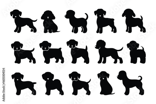 Collection of diverse black silhouette poodle dog poses and styles for graphic design and illustration
