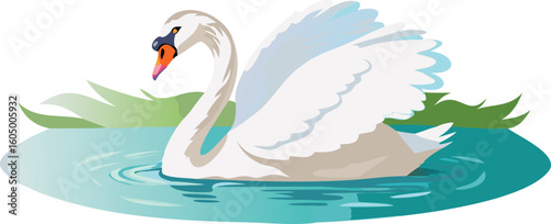 swan on the water animal lake white nature duck