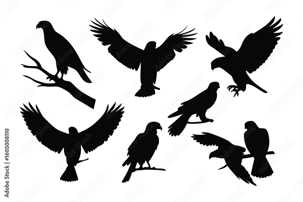 Fototapeta premium Collection of majestic bird of prey silhouettes showcasing various poses and wing positions against a white background