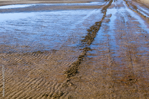 Traces of car tires on sand on coast of sea