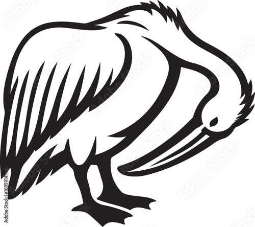 Grooming pelican black silhouette on white background, Pelican side pose vector illustration