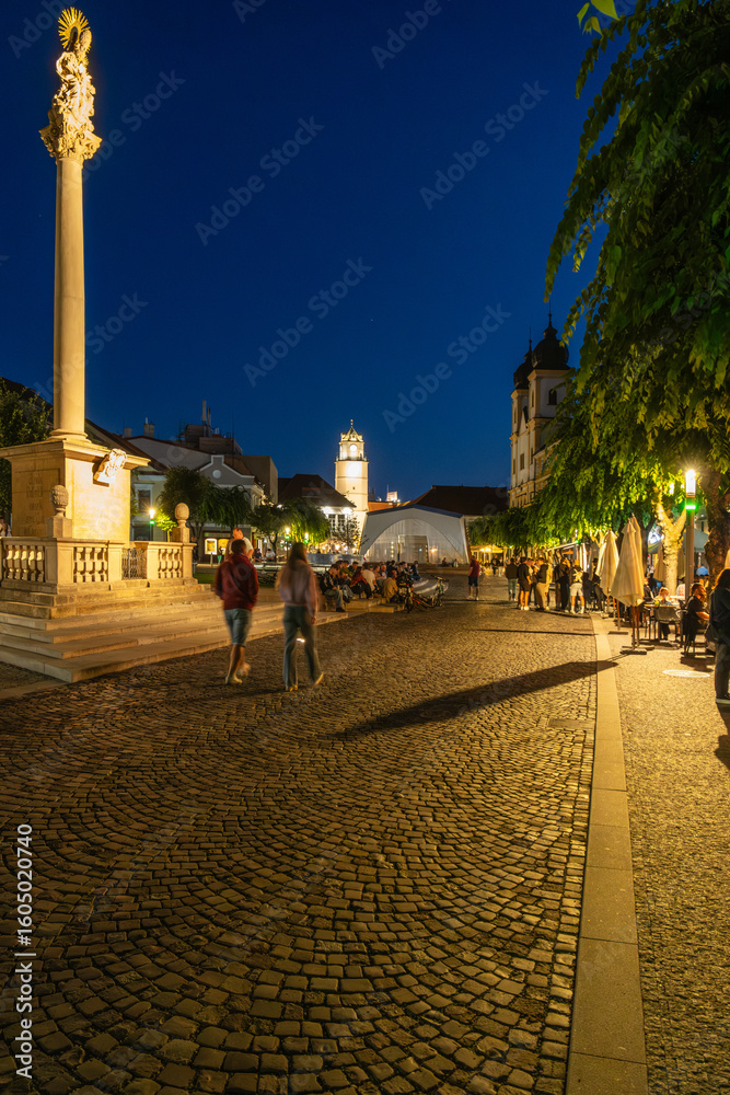 Obraz premium Nachtaufnahme der Pestsäule zum Gedenken der Opfer der Pest zum Beginn des 18. Jahrhunderts, im Hintergrund ist die Burg Trenčín , Kulturhauptstadt 2026, Trenčín, Slowakei