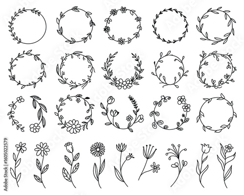 clean line wildflower and tulip sketches