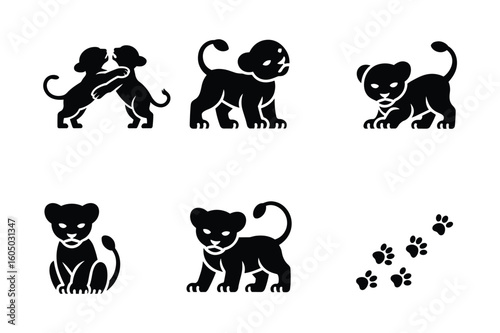 Playful lion cubs and paw prints playing sitting
