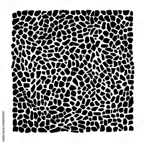 Black and white drawing of a square filled with many small organic shapes in a random pattern design