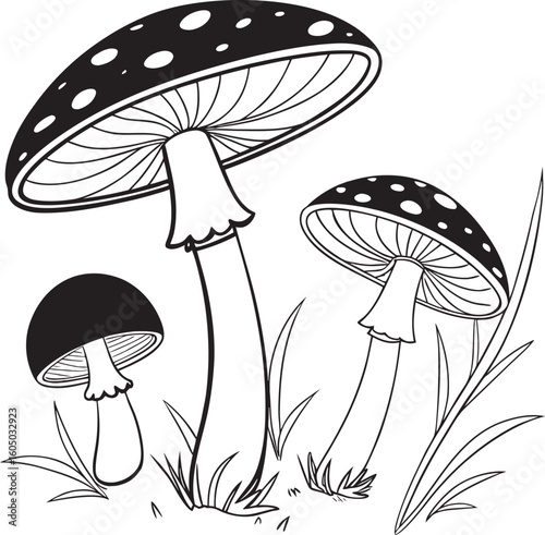 vector illustration of mushrooms