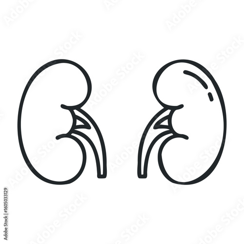 Simple black and white kidney icon illustration. Vector illustration