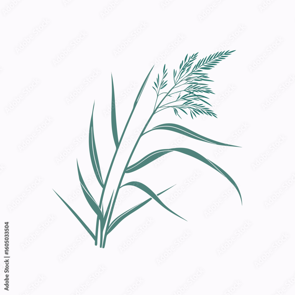 Fototapeta premium Reed icon vector, Adobe Illustrator Artwork