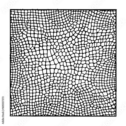 Black and white abstract square grid pattern with irregular cell shapes and varying cell sizes design