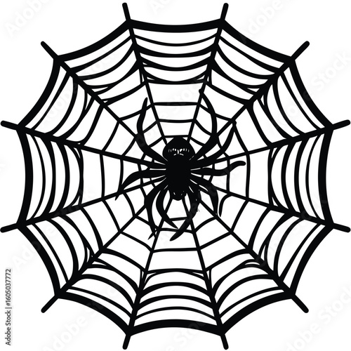 Black spider on intricate web spiderweb white