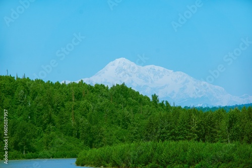 green grass and blue sky