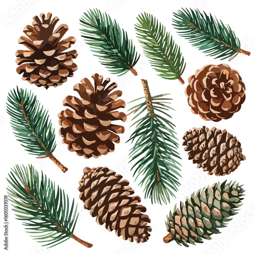 Watercolor pine cones and conifer branches illustration on white