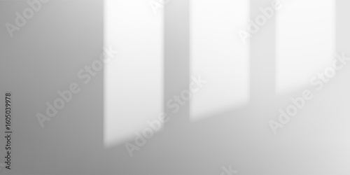 Sunlit wall with blurred shadows from tree branches creates gentle indoor ambiance. Natural overlay effect perfect for product mockups or elegant minimalist background scenes.