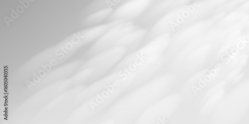 Sunlight shines through sheer curtain onto blank studio wall. Tree shadows create tropical ambiance. Ideal background for wellness branding or soft spring and summer mockups.